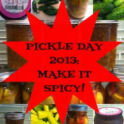 Pickle Day 2013 Make it Spicy