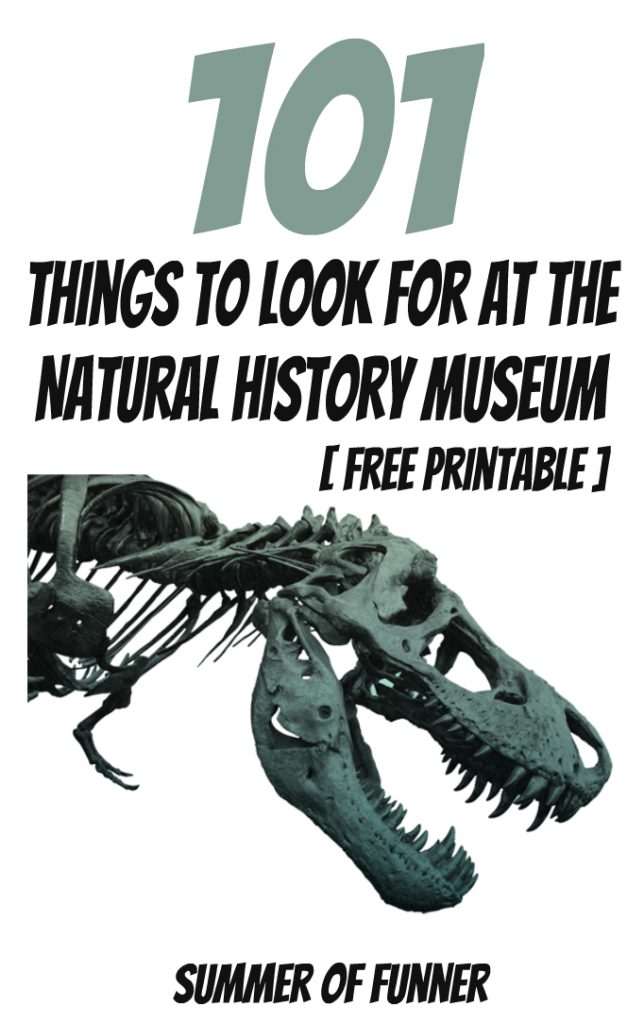 101 Things To Look For At The Natural History Museum Free Printable 