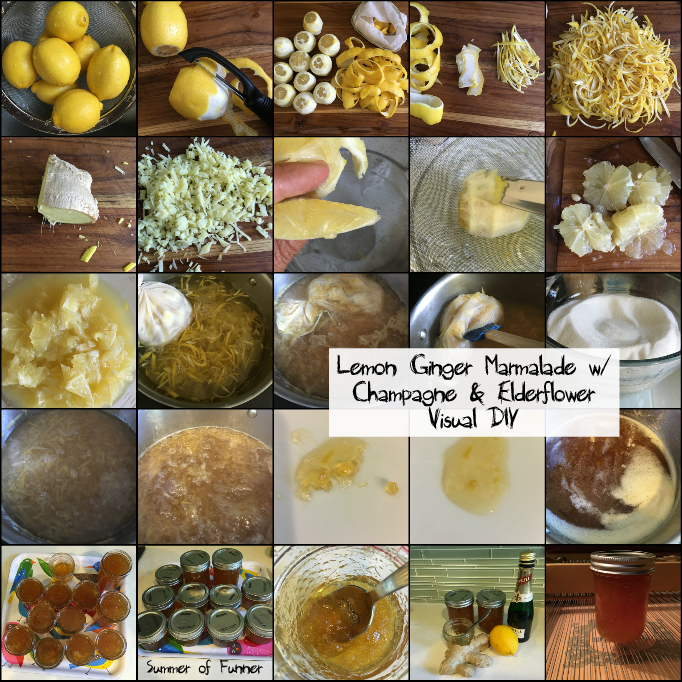 Lemon Ginger Marmalade with Champage and Elderflower Visual DIY